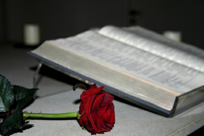 Rose und Bibel